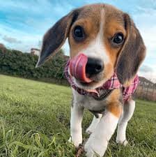 Sandy's Test Project 